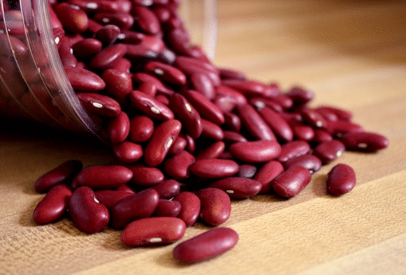 Cara Menanm Kacang Merah