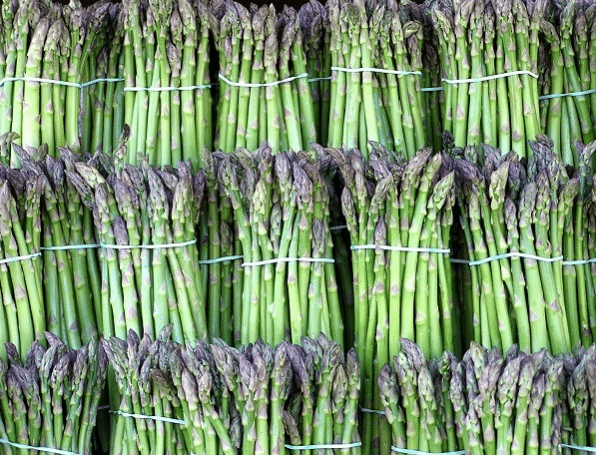 Cara Menanam Tanaman Asparagus